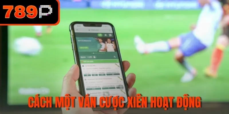 Cách một ván cược xiên hoạt động