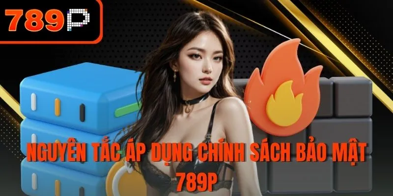 Nguyên tắc áp dụng chính sách bảo mật 789P